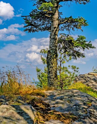 Radfahrer im Wechselgebiet in der Oststeiermark | Flotoanker | © Oststeiermark Tourismus