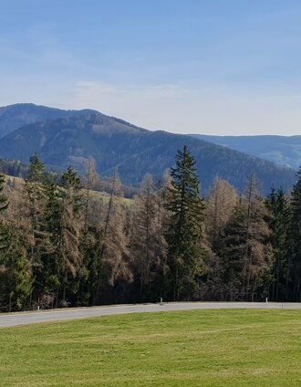 Almpanorama im Naturpark Almenland | Dieter Riedl | © Oststeiermark Tourismus