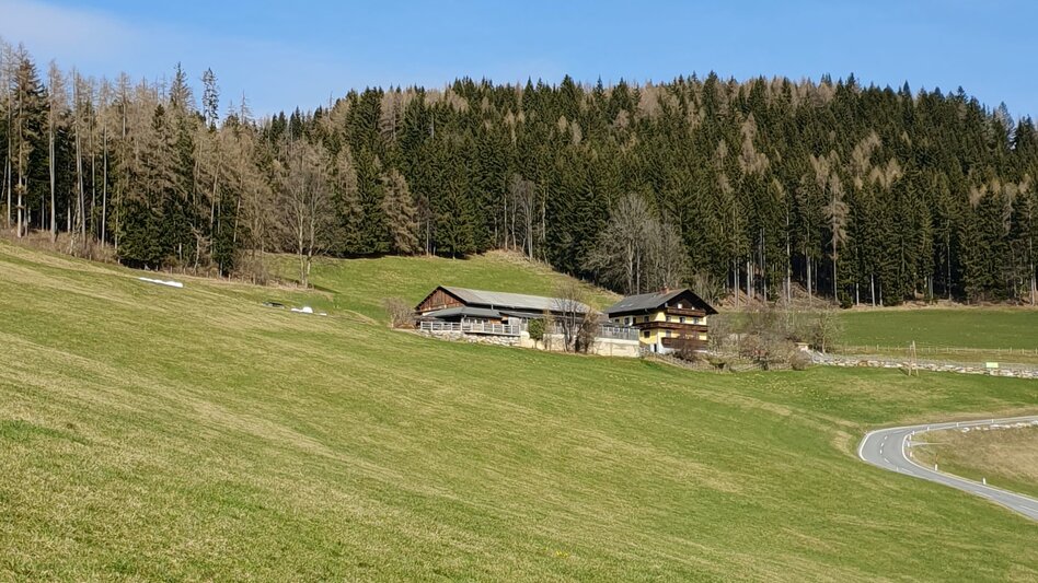 Hiking route Schachner-Tour, Fladnitz an der Teichalm - Touren-Impression #2.2 | © Oststeiermark Tourismus