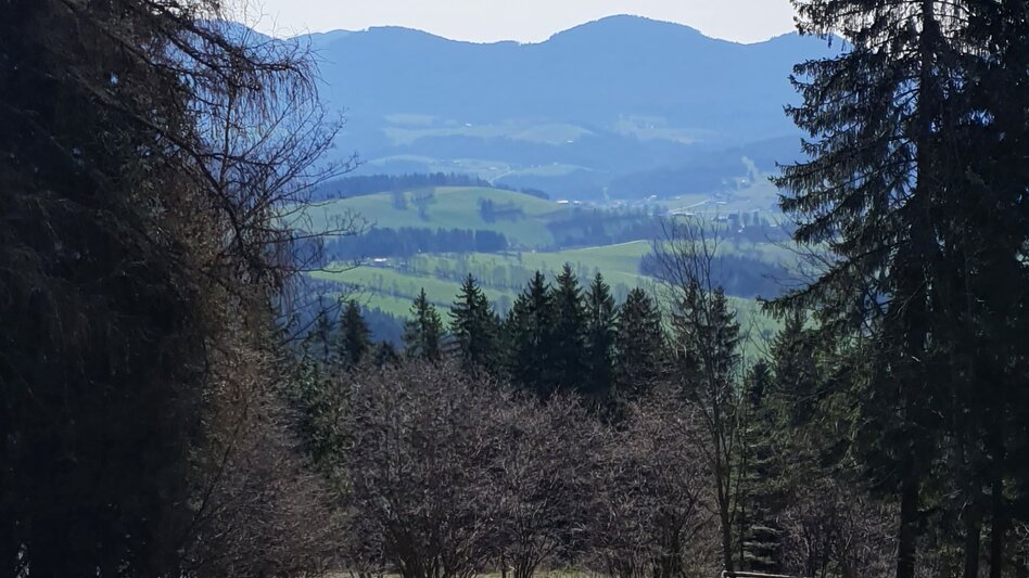 Hiking route Schachner-Tour, Fladnitz an der Teichalm - Touren-Impression #2.3 | © Oststeiermark Tourismus