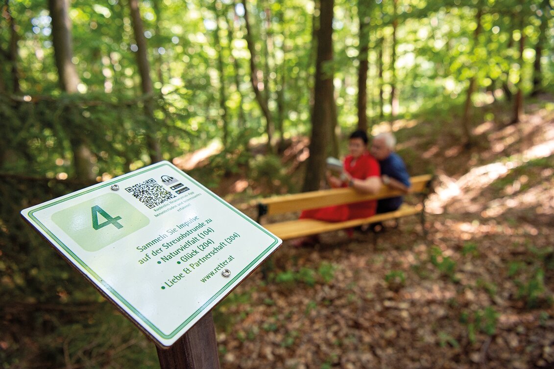 Themen- und Lehrpfad Streuobstrunde mit Hearonymus Tourguide, RETTER Pöllauberg - Touren-Impression #1 | © Oststeiermark Tourismus