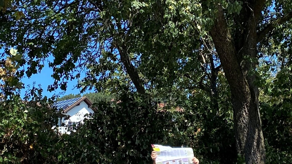 Themen- und Lehrpfad Streuobstrunde mit Hearonymus Tourguide, RETTER Pöllauberg - Touren-Impression #2.3 | © Oststeiermark Tourismus