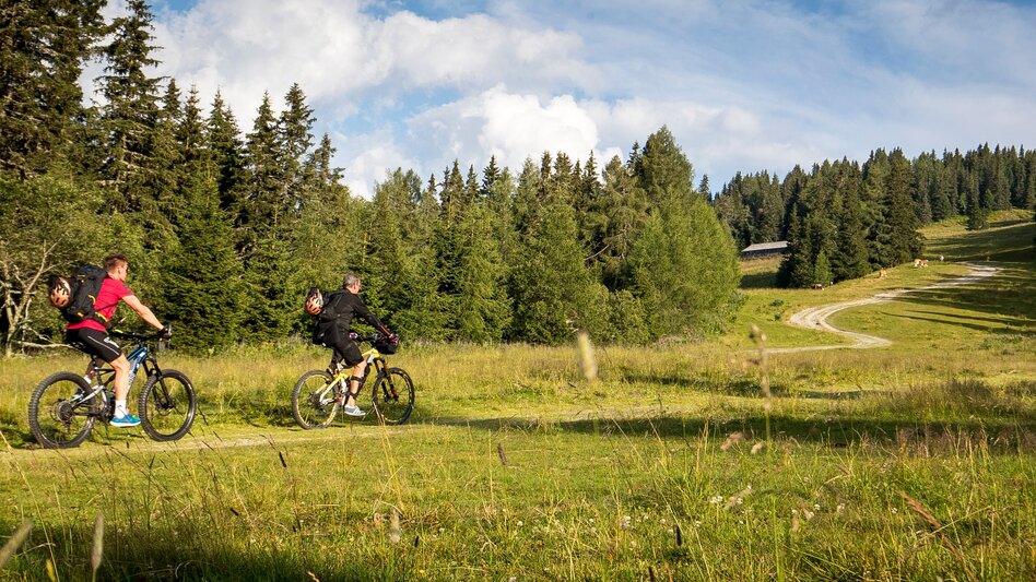 Mountain Biking Kaindorf - Frauenalpe - Touren-Impression #2.2 | © Tourismusverband Murau