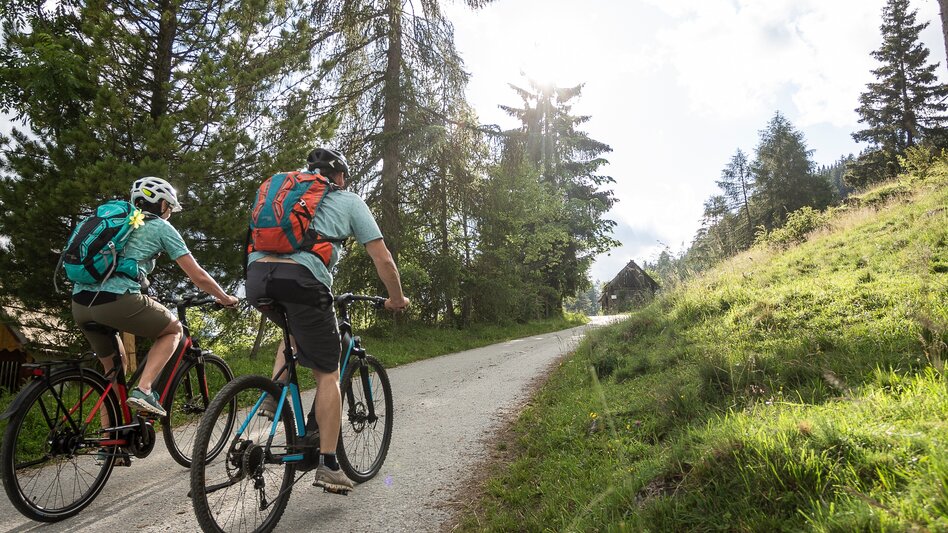 Mountain Biking St. Lorenzen circle / NOCKBIKE-Tour 05:  - Touren-Impression #2.2 | © Tourismusverband Murau