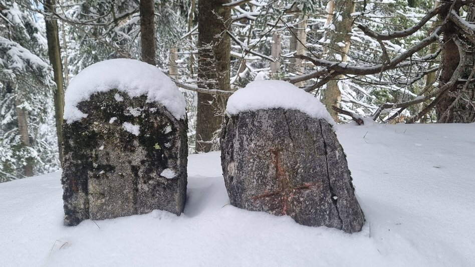 Hiking route Peterbauernkogel – Hiking on Uncharted Paths - Touren-Impression #2.2 | © Hochsteiermark