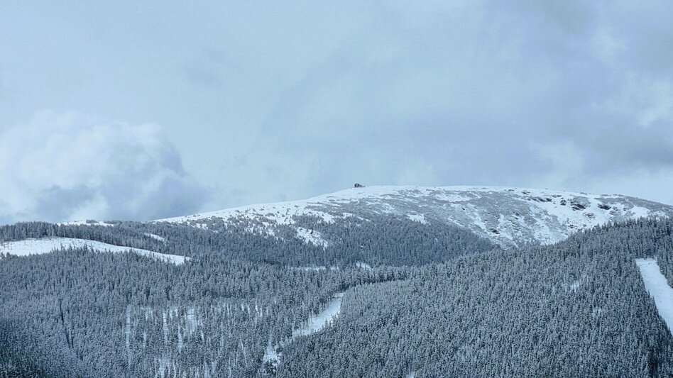 Hiking route Peterbauernkogel – Hiking on Uncharted Paths - Touren-Impression #2.5 | © Hochsteiermark