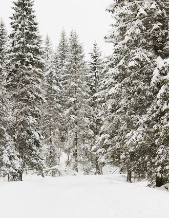 Winter hike | Armin Walcher | © Erlebnisregion Schladming-Dachstein
