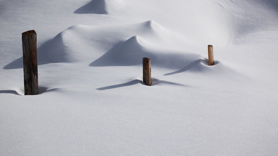 Rodeln Rodeln auf der Mörsbachalm - Touren-Impression #2.2 | © Erlebnisregion Schladming-Dachstein