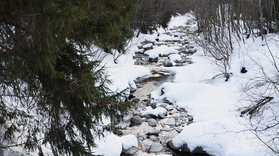 Rodeln Rodeln auf der Mörsbachalm - Touren-Impression #2.3 | © Erlebnisregion Schladming-Dachstein