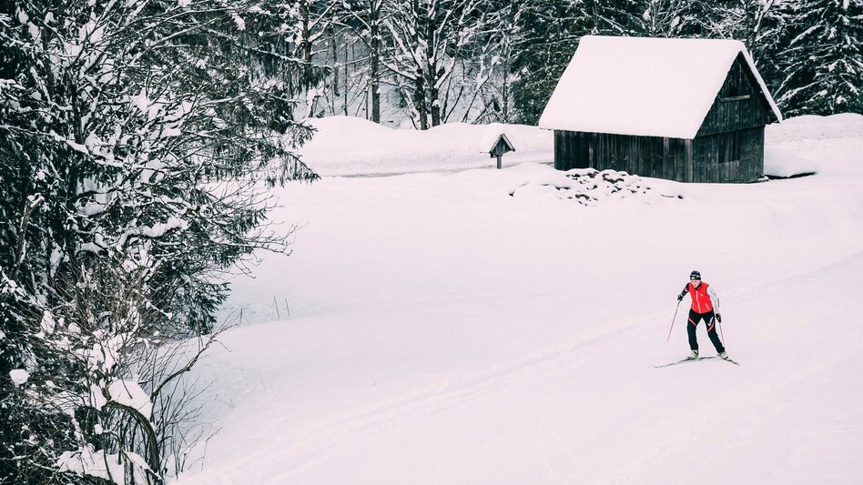 Ski nordic skating Loipe Hinterwald - Touren-Impression #2.3 | © Erlebnisregion Schladming-Dachstein