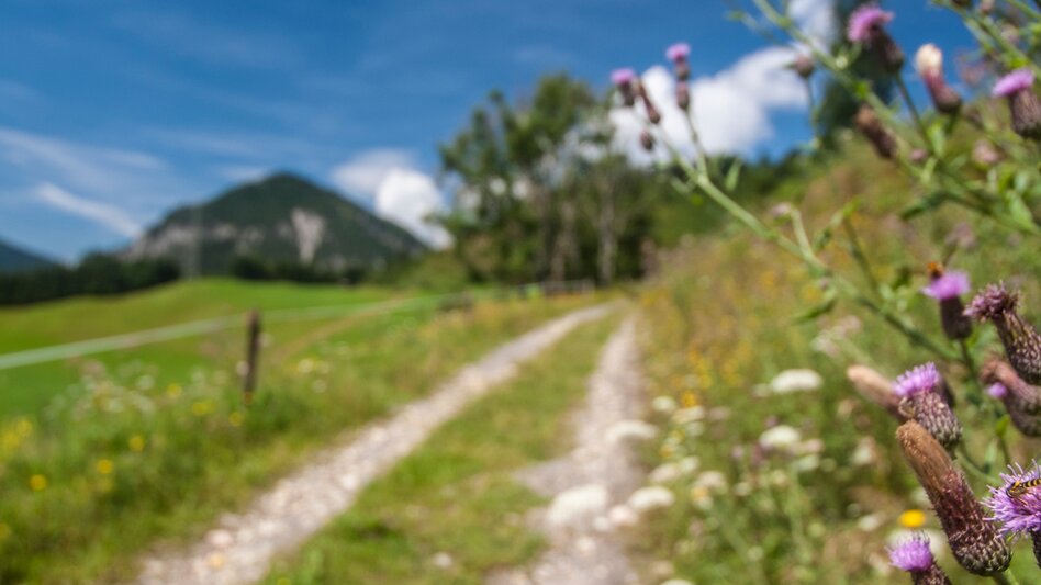 Hiking route Aberg Tour - Touren-Impression #2.1 | © Gerhard Pilz - www.gpic.at