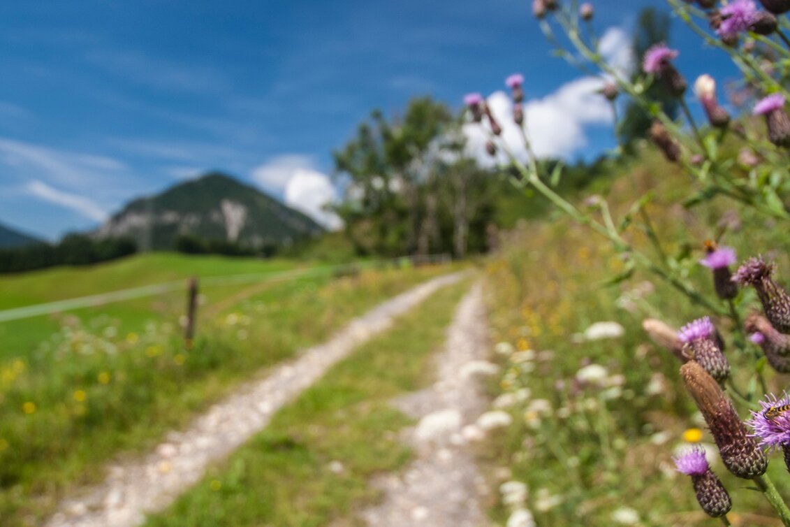 Hiking route Aberg Tour - Touren-Impression #1 | © Gerhard Pilz - www.gpic.at
