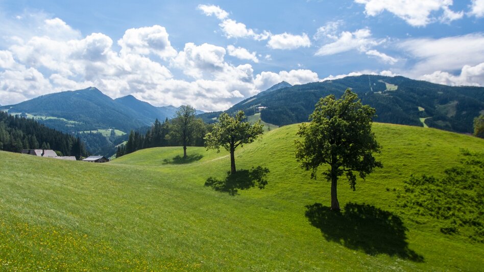 Hiking route Village Tour - Touren-Impression #2.1 | © Gerhard Pilz - www.gpic.at
