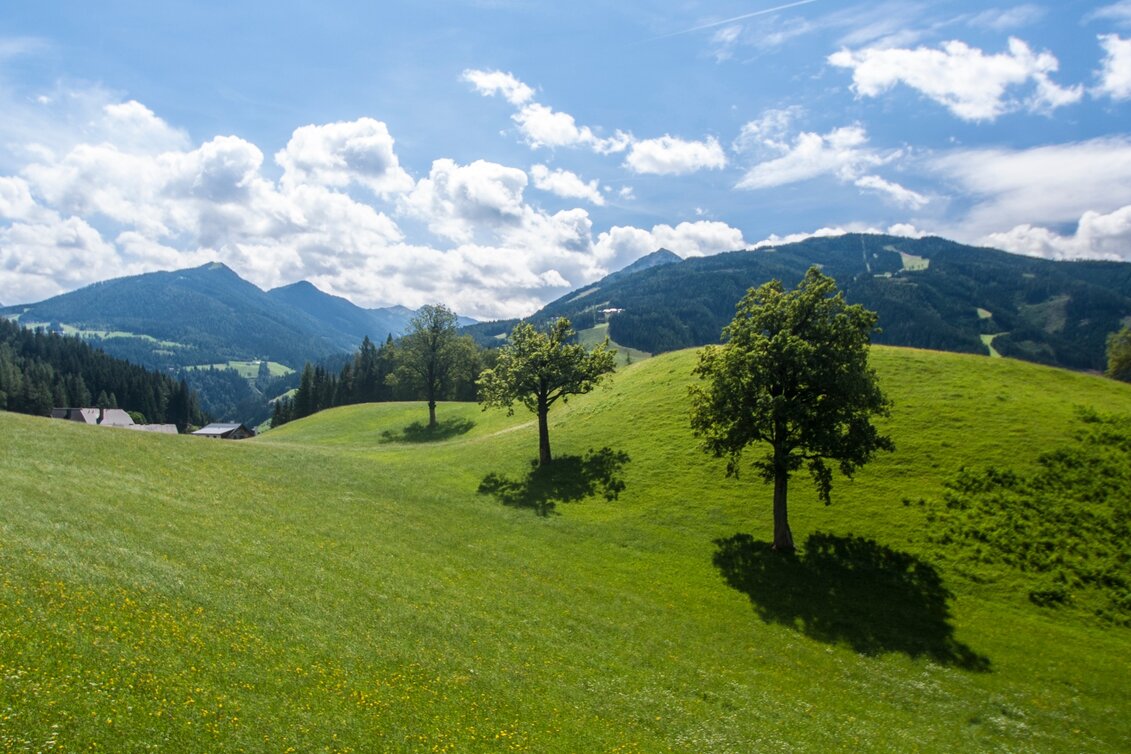 Hiking route Village Tour - Touren-Impression #1 | © Gerhard Pilz - www.gpic.at