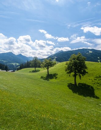 Wunderbarer Ausblick Richtung Grubdörfl | Gerhard Pilz | © Gerhard Pilz - www.gpic.at
