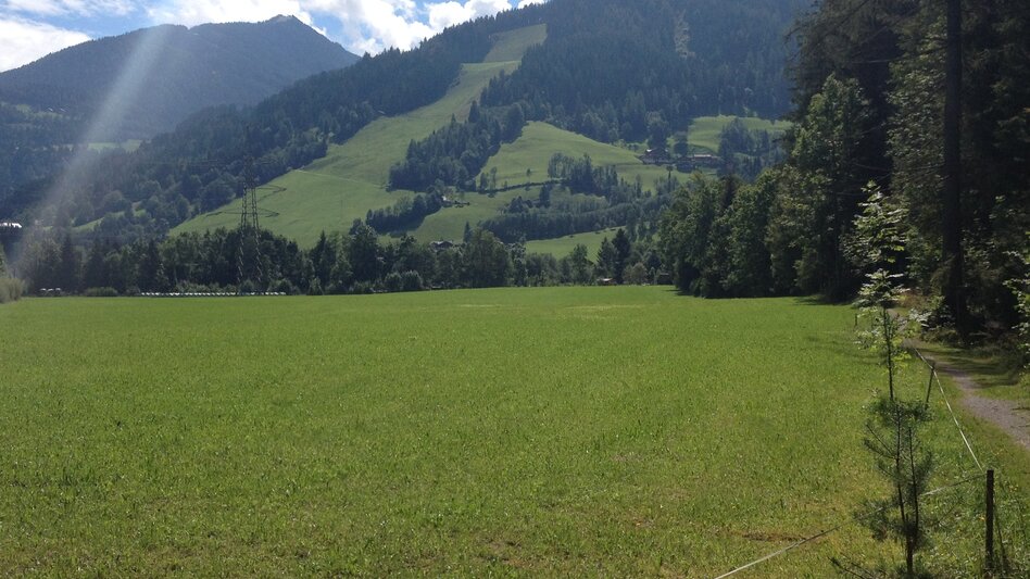 Nordic Walking Enns Trail Gleiming - Mandling - Touren-Impression #2.1 | © Gerhard Pilz