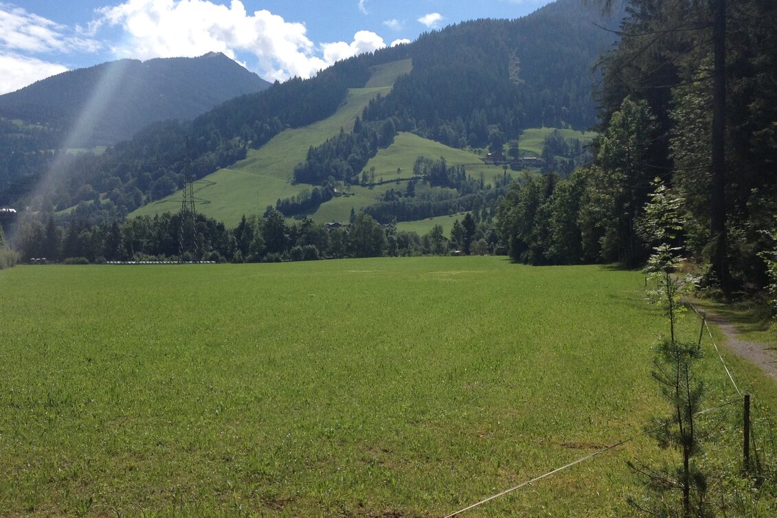 Nordic Walking Enns Trail Gleiming - Mandling - Touren-Impression #1 | © Gerhard Pilz
