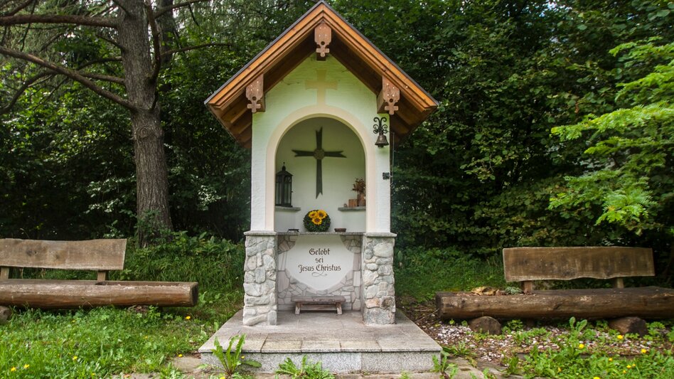 Nordic Walking Enns Trail Gleiming - Mandling - Touren-Impression #2.2 | © Gerhard Pilz - www.gpic.at