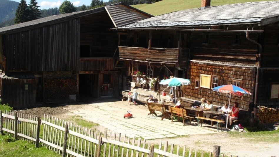 Nordic Walking Halserberg Tour - Touren-Impression #2.3 | © Erlebnisregion Schladming-Dachstein