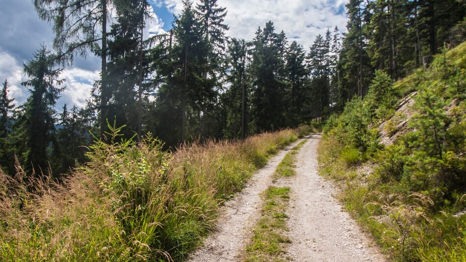 Nordic Walking Halserberg Tour - Touren-Impression #2.1 | © Gerhard Pilz - www.gpic.at