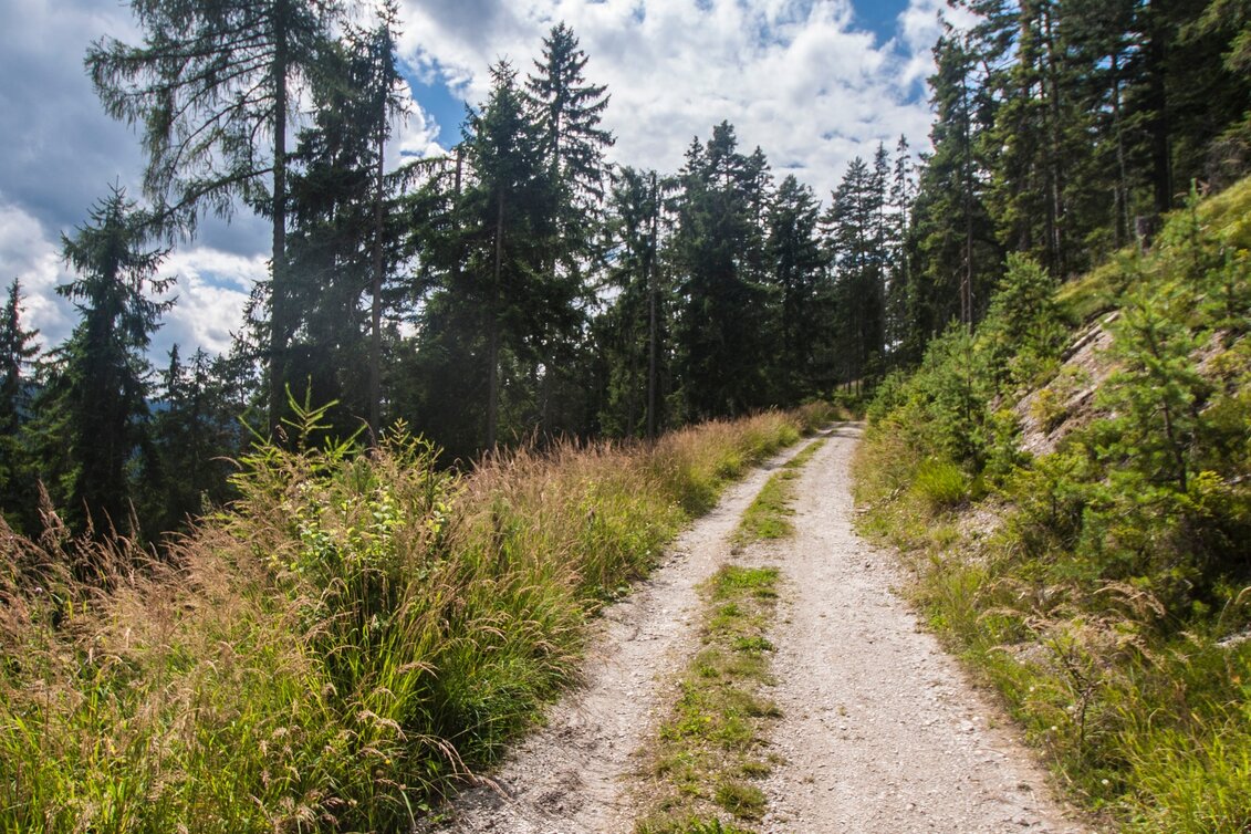 Nordic Walking Halserberg Tour - Touren-Impression #1 | © Gerhard Pilz - www.gpic.at