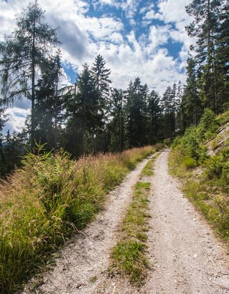 On Halserberg Tour towards Halseralm chalet | Gerhard Pilz | © Gerhard Pilz - www.gpic.at