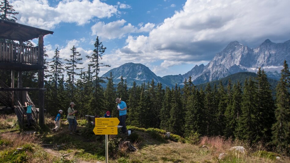 Nordic Walking Rittisberg Walking Tour - Touren-Impression #2.10 | © Gerhard Pilz - www.gpic.at