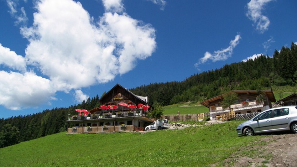 Nordic Walking Rittisberg Walking Tour - Touren-Impression #2.8 | © Erlebnisregion Schladming-Dachstein