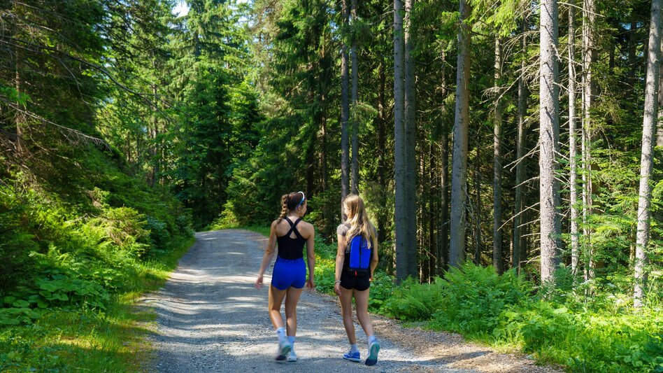 Nordic Walking Rittisberg Walking Tour - Touren-Impression #2.5 | © Christine Höflehner