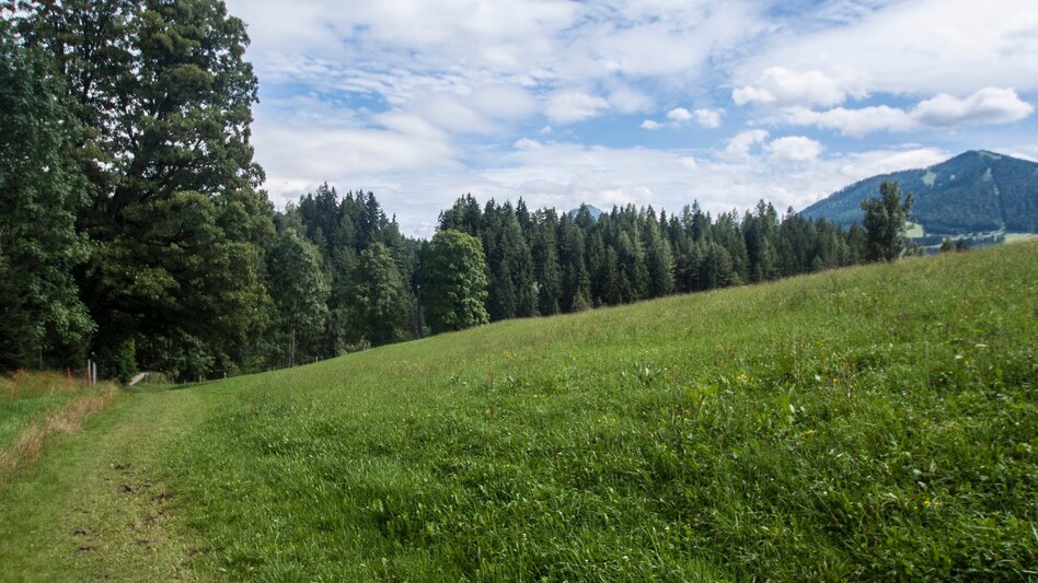 Nordic Walking Vorberg Walking Tour - Touren-Impression #2.6 | © Gerhard Pilz
