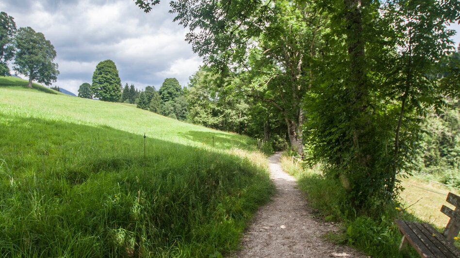 Nordic Walking Vorberg Walking Tour - Touren-Impression #2.7 | © Gerhard Pilz