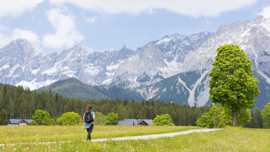 Nordic Walking Vorberg Walking Tour - Touren-Impression #2.1