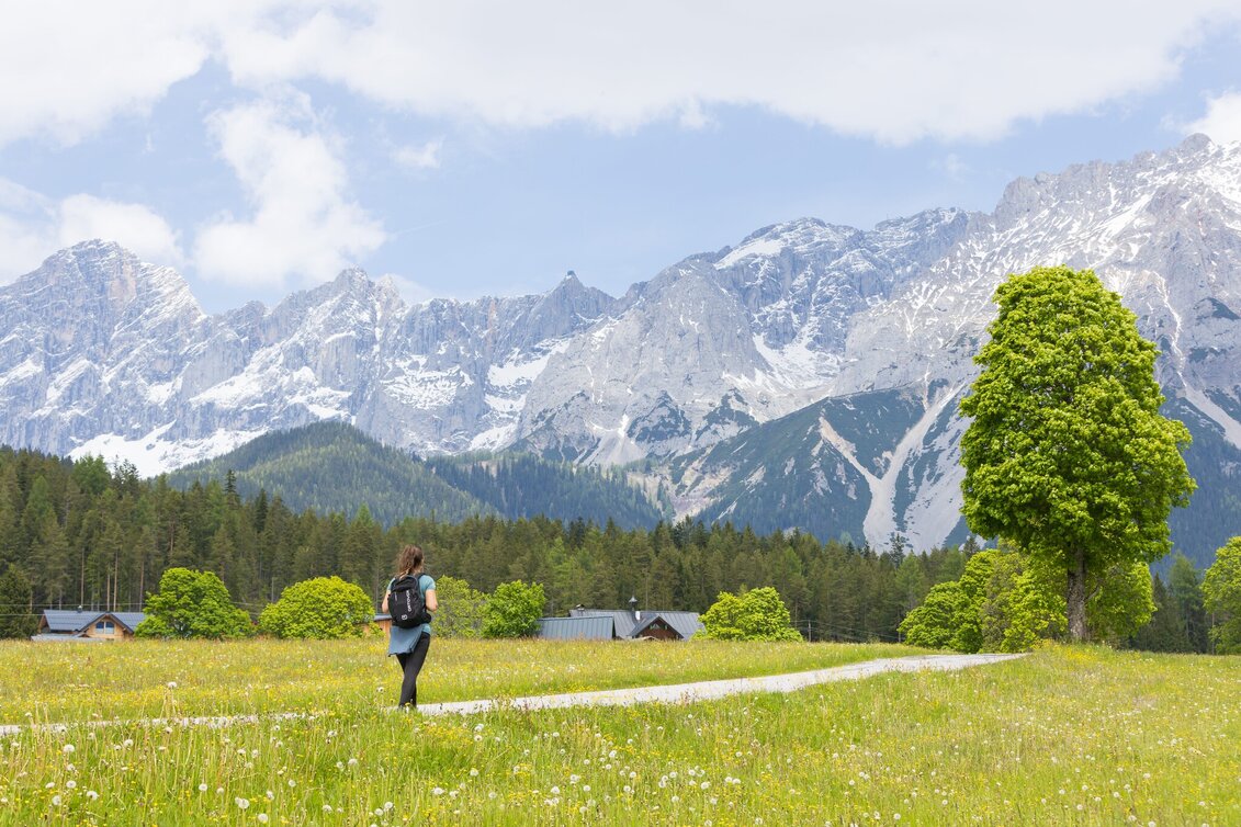 Nordic Walking Vorberg Walking Tour - Touren-Impression #1