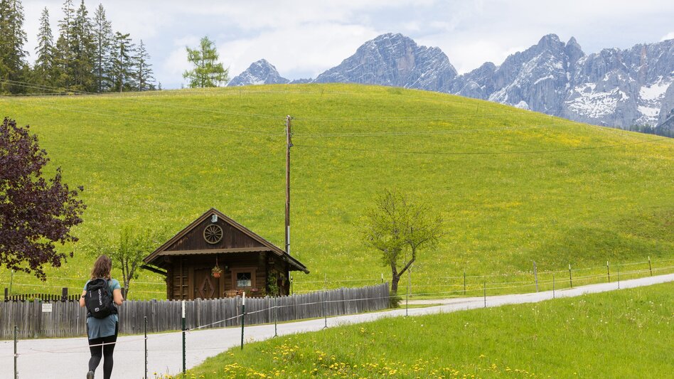 Nordic Walking Vorberg Walking Tour - Touren-Impression #2.4