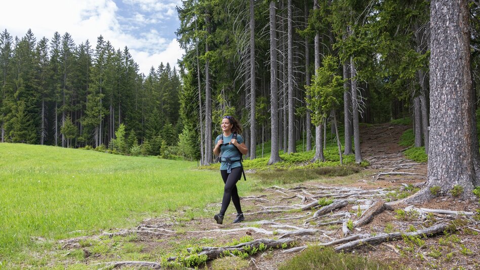 Nordic Walking Vorberg Walking Tour - Touren-Impression #2.5