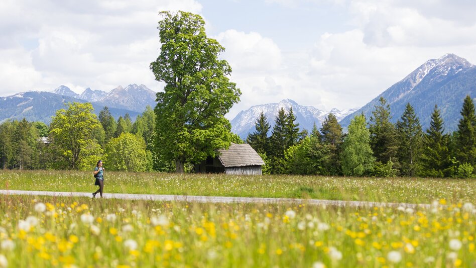 Nordic Walking Vorberg Walking Tour - Touren-Impression #2.8