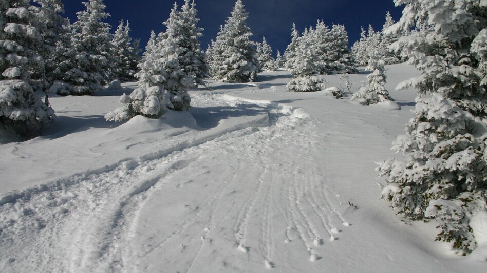 Skitour Speikkogel (Gleinalmspeik) - Touren-Impression #2.1 | © Foto: DI Harald Kiesling