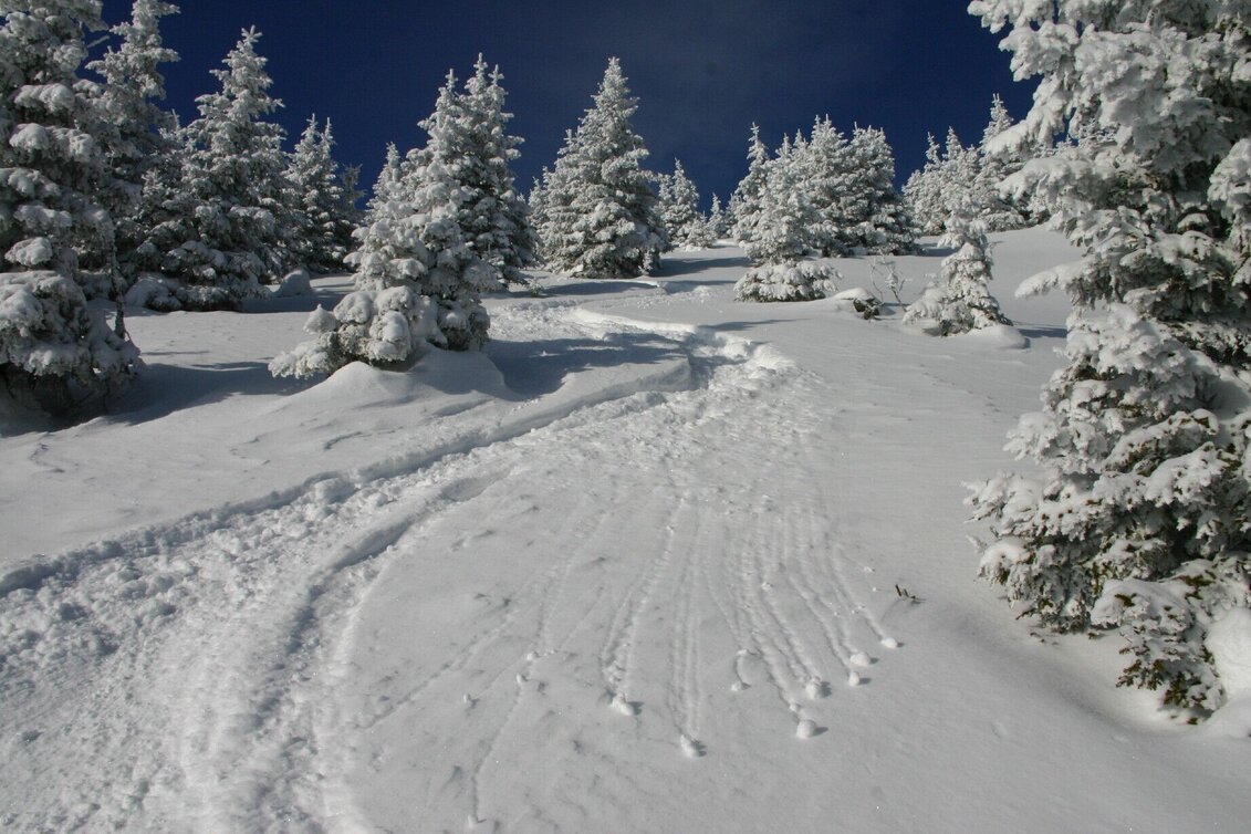 Skitour Speikkogel (Gleinalmspeik) - Touren-Impression #1 | © Foto: DI Harald Kiesling