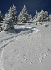 Deine Spur? | © Foto: DI Harald Kiesling | Markus Windisch | © Foto: DI Harald Kiesling