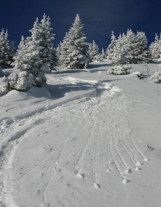 Deine Spur? | Markus Windisch | © Foto: DI Harald Kiesling