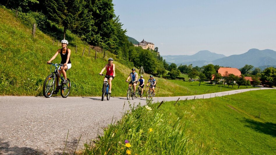 Bike Riding Schenkenberg circuit - Touren-Impression #2.2 | © Region Graz