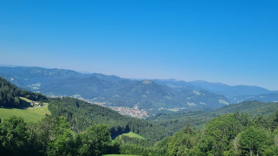 Bike Riding Schenkenberg circuit - Touren-Impression #2.3 | © Region Graz