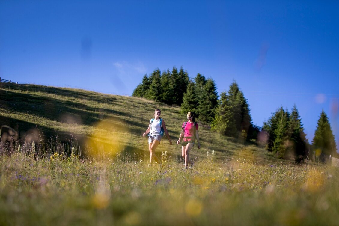 Hiking route Scharfes Eck mountain trail - Touren-Impression #1 | © Tourismusverband Murau