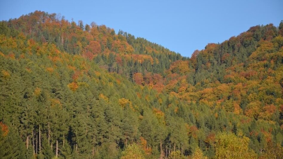 Wanderung Von Übelbach nach Deutschfeistritz - Touren-Impression #2.4 | © Markus Windisch