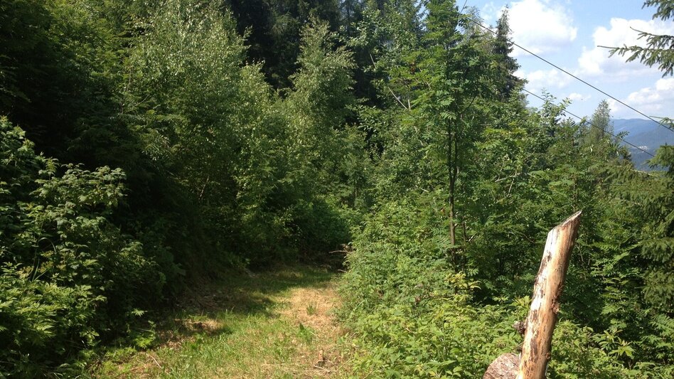 Hiking route Ore Trail - Touren-Impression #2.6 | © Gerhard Pilz