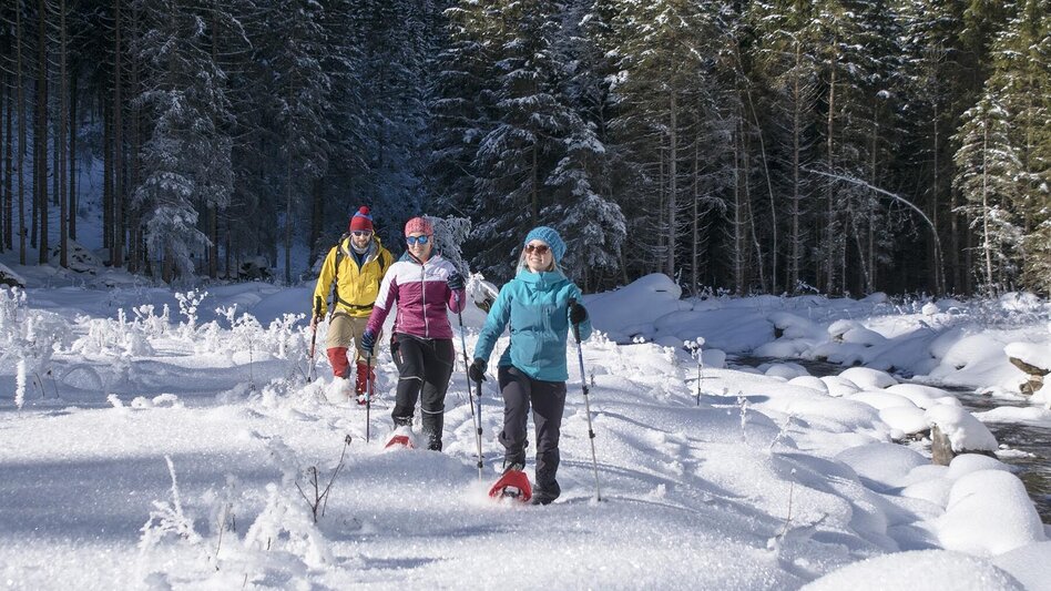 Snowshoe walking Snowshoeing in Obertal valley - Touren-Impression #2.9 | © Gerhard Pilz - www.gpic.at