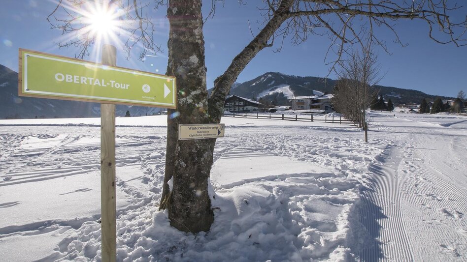 Snowshoe walking Snowshoeing in Obertal valley - Touren-Impression #2.11 | © Gerhard Pilz - www.gpic.at