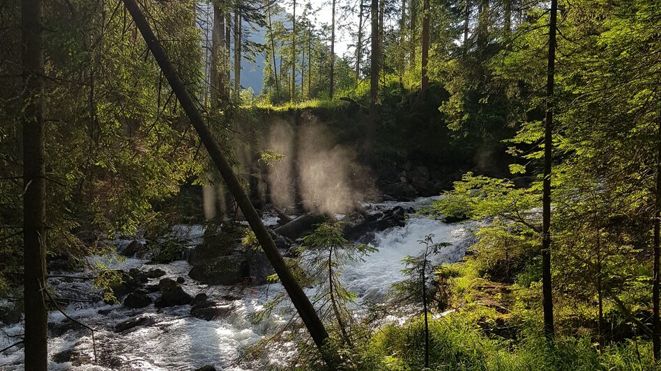 Hiking route Small Riesach Waterfall Tour - Touren-Impression #2.7 | © Gerhard Pilz - www.gpic.at
