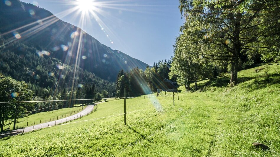 Wanderung Untertaler Aussichtsrunde - Touren-Impression #2.9 | © Gerhard Pilz - www.gpic.at