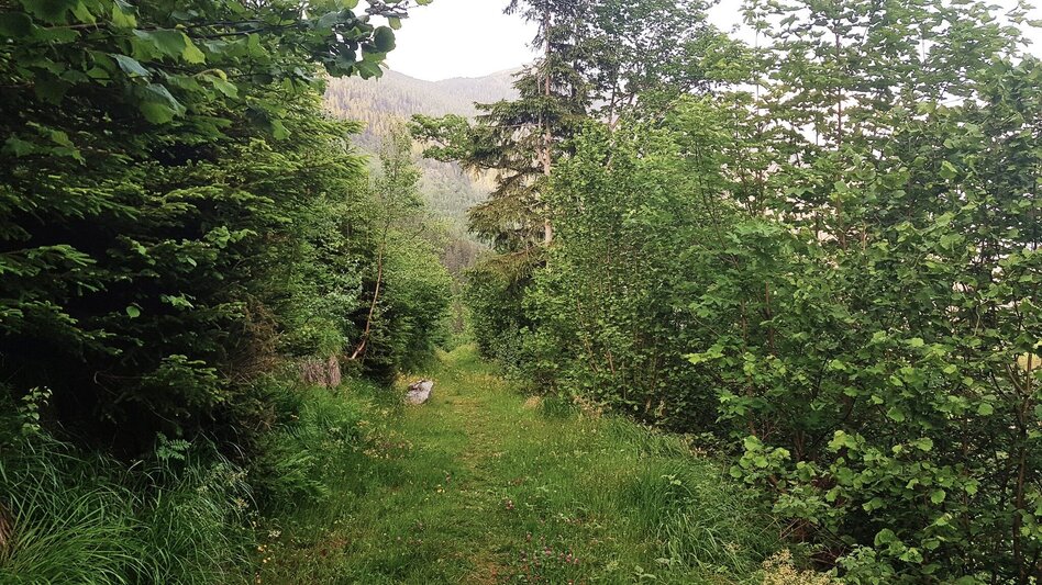 Wanderung Untertaler Aussichtsrunde - Touren-Impression #2.12 | © Gerhard Pilz